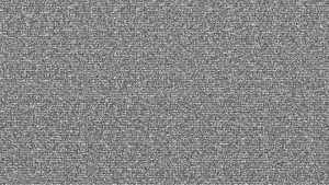 Ameisenkrieg - Sinnbild für Rauschen
