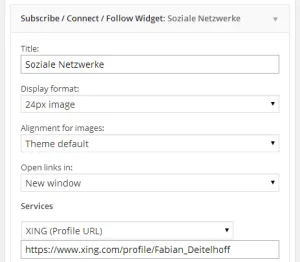 Abb. 16: Ausschnitt aus den Einstellungen zum Subscribe/Connect/Follow Widget.