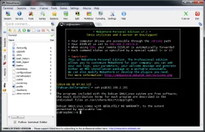 Abb. 1: Erfolgreicher Verbindungsversuch mit dem Raspberry Pi über SSH.